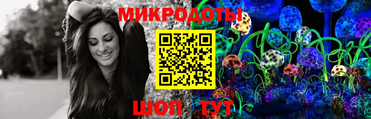 Галлюциногенные грибы мицелий Вышний Волочёк